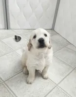 processed/182879c3-cd61-47a2-8858-01d9d51a00cc/listing/9087c235-d292-442e-83d8-b74e3a18881b/5c3ee541-e2de-4376-b5a2-32d0ef66765d