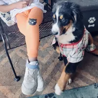 processed/182cd005-4ed4-4771-831e-004a91053bac/facility/1ce9fb4d-304a-4434-93dc-1e0bf76a2afc