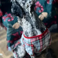 processed/182cd005-4ed4-4771-831e-004a91053bac/facility/389e8c50-9915-4f12-89ab-3cc31c64252c