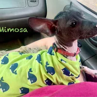 processed/182cd005-4ed4-4771-831e-004a91053bac/facility/48dd2cfa-91df-40d1-92f6-ddd23a9581ad