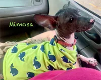 processed/182cd005-4ed4-4771-831e-004a91053bac/facility/48dd2cfa-91df-40d1-92f6-ddd23a9581ad