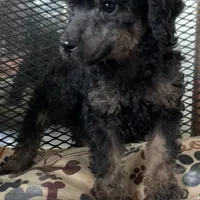 processed/182cd005-4ed4-4771-831e-004a91053bac/facility/4afc2495-5aff-4801-8004-376b95fe0e40