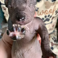 processed/182cd005-4ed4-4771-831e-004a91053bac/facility/571949ab-e8a3-4005-8d49-8fff19b1478b