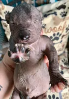 processed/182cd005-4ed4-4771-831e-004a91053bac/facility/571949ab-e8a3-4005-8d49-8fff19b1478b