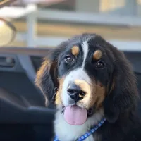 processed/182cd005-4ed4-4771-831e-004a91053bac/facility/72a1fcc7-5e17-4643-ac53-9d71122a34a6