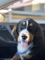 processed/182cd005-4ed4-4771-831e-004a91053bac/facility/72a1fcc7-5e17-4643-ac53-9d71122a34a6