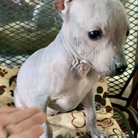 processed/182cd005-4ed4-4771-831e-004a91053bac/facility/860ea9ad-9f3d-4dba-8d0b-5add48d29c79