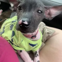 processed/182cd005-4ed4-4771-831e-004a91053bac/facility/86855a1b-e537-47fe-8d93-db86d9eb6e33