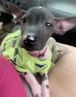 processed/182cd005-4ed4-4771-831e-004a91053bac/facility/86855a1b-e537-47fe-8d93-db86d9eb6e33