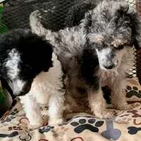 processed/182cd005-4ed4-4771-831e-004a91053bac/facility/a6b8f29d-d8f9-4d79-808e-e175febf224d