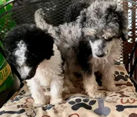 processed/182cd005-4ed4-4771-831e-004a91053bac/facility/a6b8f29d-d8f9-4d79-808e-e175febf224d