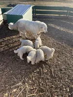 processed/182e021d-ee2a-4015-96e9-ee1abe2cd8d3/listing/96a14231-9307-45da-8d37-9c0a1c359d41/435be2da-3a59-4e91-a758-ca96d928f218