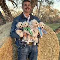 Sam, a male Great Pyrenees for sale in Natalia, TX – Photo 6 of 8