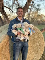 processed/182e021d-ee2a-4015-96e9-ee1abe2cd8d3/listing/96a14231-9307-45da-8d37-9c0a1c359d41/6febb1b2-cfcd-4f05-b157-1b561c4ddf38