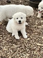 processed/182e021d-ee2a-4015-96e9-ee1abe2cd8d3/listing/96a14231-9307-45da-8d37-9c0a1c359d41/876d1cec-d864-4391-8a85-9a13b45afdd5