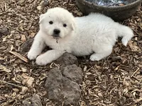 processed/182e021d-ee2a-4015-96e9-ee1abe2cd8d3/listing/96a14231-9307-45da-8d37-9c0a1c359d41/bb1b59f2-e9ae-49de-9599-9e9e60650c6f