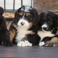 processed/1839f20c-71ac-4c69-8275-16e703da49b8/facility/f2726f4d-1e0e-4e85-a3a7-18329db88489