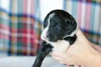 processed/1839f20c-71ac-4c69-8275-16e703da49b8/listing/bc45022d-fcdf-4deb-bb59-e72d2465bdfa/2f27e2e8-9d7d-40e7-8091-28fc102c4dd5