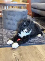 processed/1839f20c-71ac-4c69-8275-16e703da49b8/listing/bc45022d-fcdf-4deb-bb59-e72d2465bdfa/3125c55b-d26b-4bdd-847d-be9a2227af48