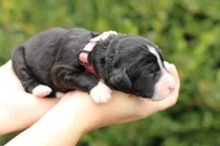 processed/1839f20c-71ac-4c69-8275-16e703da49b8/listing/bc45022d-fcdf-4deb-bb59-e72d2465bdfa/97113d4f-688b-422b-96b9-5ec51e2a50c6