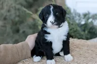 processed/1839f20c-71ac-4c69-8275-16e703da49b8/listing/bc45022d-fcdf-4deb-bb59-e72d2465bdfa/9cd6d8f4-179c-4857-9b35-6a941bd92167