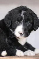 processed/1839f20c-71ac-4c69-8275-16e703da49b8/listing/bc45022d-fcdf-4deb-bb59-e72d2465bdfa/e14267a5-4851-405c-82d9-16364ed8fc6d