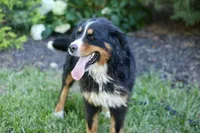 processed/1839f20c-71ac-4c69-8275-16e703da49b8/listing/bc45022d-fcdf-4deb-bb59-e72d2465bdfa/f5b54249-7a1b-47e1-b956-b9ede3be6319