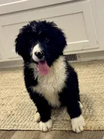 processed/1839f20c-71ac-4c69-8275-16e703da49b8/listing/bc45022d-fcdf-4deb-bb59-e72d2465bdfa/fddffcd5-8e88-476a-bf03-54ff1a744354