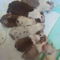 processed/1846bd0e-39b7-4873-a2ac-17c12f76f06d/facility/21de522d-87d4-45fc-9f37-f66aad572f65