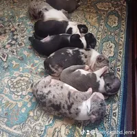 processed/1846bd0e-39b7-4873-a2ac-17c12f76f06d/facility/cb800dc3-56ad-4f6a-af0e-b6b775076cd6