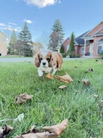 processed/1846e72d-6e50-4e90-b5f7-dd330595096b/listing/a460b497-5cd3-4664-b371-3facd8d1f335/01779f63-9530-41a2-93d5-17a2738c8fa2