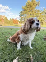 processed/1846e72d-6e50-4e90-b5f7-dd330595096b/listing/a460b497-5cd3-4664-b371-3facd8d1f335/26688eb6-45d6-4f94-8c07-83feb93b945e