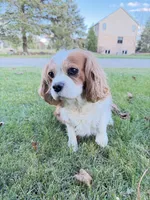 processed/1846e72d-6e50-4e90-b5f7-dd330595096b/listing/a460b497-5cd3-4664-b371-3facd8d1f335/316d881e-3e5d-4bcb-9d5e-d0b9eab49dcf