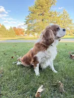 processed/1846e72d-6e50-4e90-b5f7-dd330595096b/listing/a460b497-5cd3-4664-b371-3facd8d1f335/83044d92-b773-4985-9e38-b8897e04b666