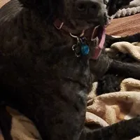 processed/184e471a-816b-4ab1-9862-e26b65c6f66b/facility/0a81227b-2a04-45ee-b531-23bd7a7aa91f