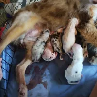 processed/184e471a-816b-4ab1-9862-e26b65c6f66b/facility/4ee16921-b9b4-417c-8f69-ba4ada8eee6f