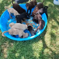 processed/184e471a-816b-4ab1-9862-e26b65c6f66b/facility/6ab060ef-776c-465a-95fa-a7570eb5b302