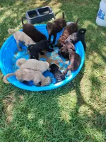 processed/184e471a-816b-4ab1-9862-e26b65c6f66b/facility/6ab060ef-776c-465a-95fa-a7570eb5b302