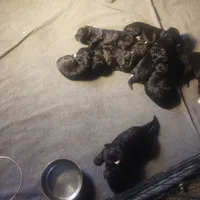 processed/184e471a-816b-4ab1-9862-e26b65c6f66b/facility/6e1277ba-7815-4fa4-97f9-197482e44954