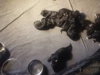 processed/184e471a-816b-4ab1-9862-e26b65c6f66b/facility/6e1277ba-7815-4fa4-97f9-197482e44954