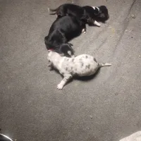 processed/184e471a-816b-4ab1-9862-e26b65c6f66b/facility/7a2a2d47-4be5-47d1-aaef-3298575278fe