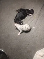 processed/184e471a-816b-4ab1-9862-e26b65c6f66b/facility/7a2a2d47-4be5-47d1-aaef-3298575278fe