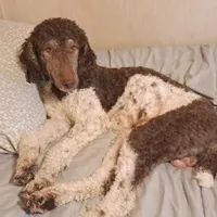 processed/184e471a-816b-4ab1-9862-e26b65c6f66b/facility/7dacf625-60c4-43e3-852f-6c6121297f59