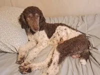 processed/184e471a-816b-4ab1-9862-e26b65c6f66b/facility/7dacf625-60c4-43e3-852f-6c6121297f59