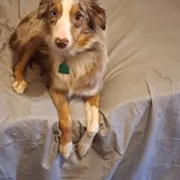 processed/184e471a-816b-4ab1-9862-e26b65c6f66b/facility/aba3a60c-4675-415c-9cc7-5bd662bf4de2