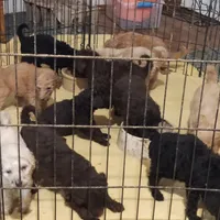 processed/184e471a-816b-4ab1-9862-e26b65c6f66b/facility/b8983bf3-a461-459d-b1c7-0218c371bf36