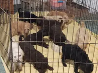 processed/184e471a-816b-4ab1-9862-e26b65c6f66b/facility/b8983bf3-a461-459d-b1c7-0218c371bf36