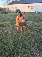 processed/184e471a-816b-4ab1-9862-e26b65c6f66b/listing/3475f152-c162-4314-9962-ec6231e2a662/35b5ddc7-9e3f-420b-a0f6-ff018e0075c4