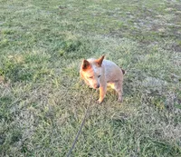 processed/184e471a-816b-4ab1-9862-e26b65c6f66b/listing/3475f152-c162-4314-9962-ec6231e2a662/3a972d9e-71b4-4ec6-a935-9a4d63adfb4c