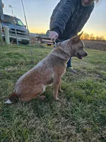 processed/184e471a-816b-4ab1-9862-e26b65c6f66b/listing/3475f152-c162-4314-9962-ec6231e2a662/45963ebb-ed86-452e-90aa-0a464b0474e8